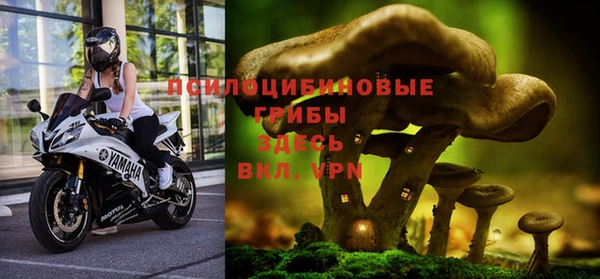 синтетический гашиш Верхний Тагил